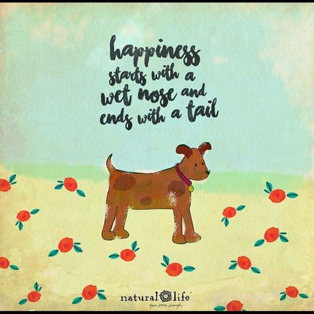 Meet your Posher, Zoe